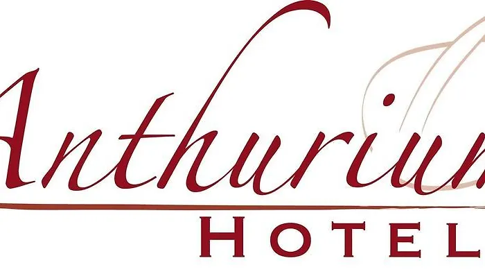 Chateau De L'hoste 圣博泽伊